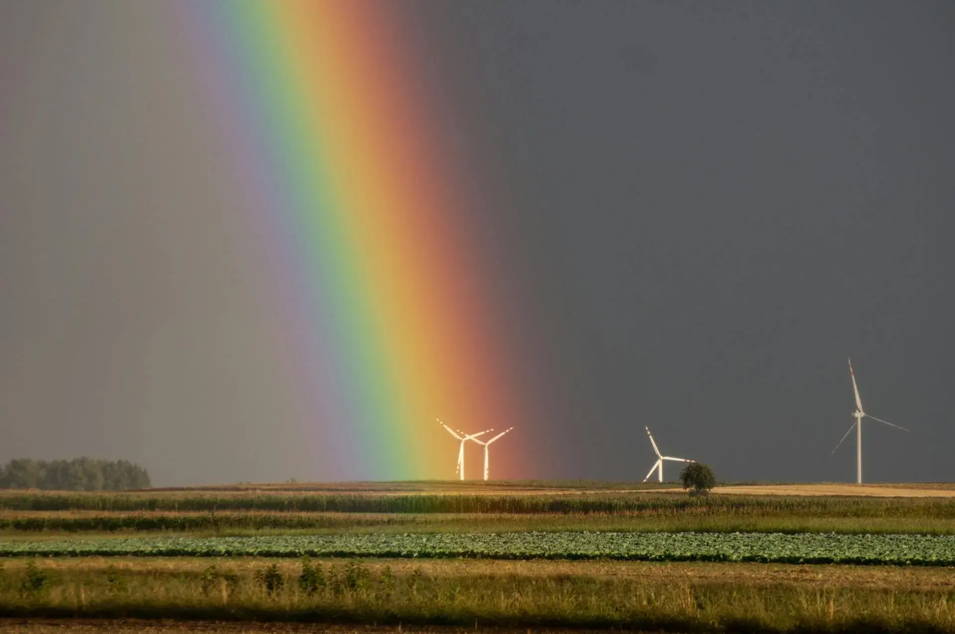 A landscape with wind turbines and a rainbow, representing a broader research ecosystem shaped by context, infrastructure, and long-term systems.